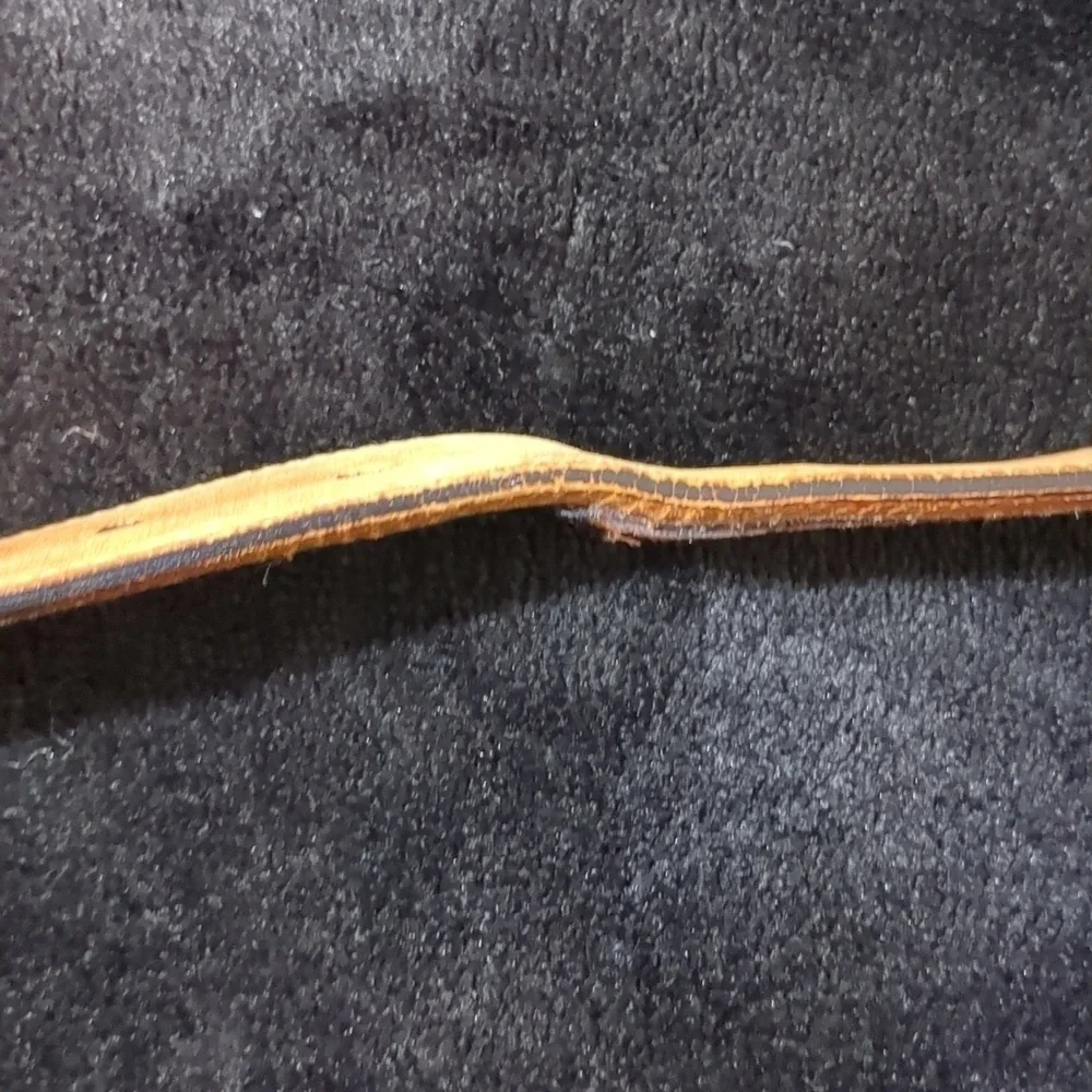 Cālé Genuine Lizard Skin Belt Size 32 (39